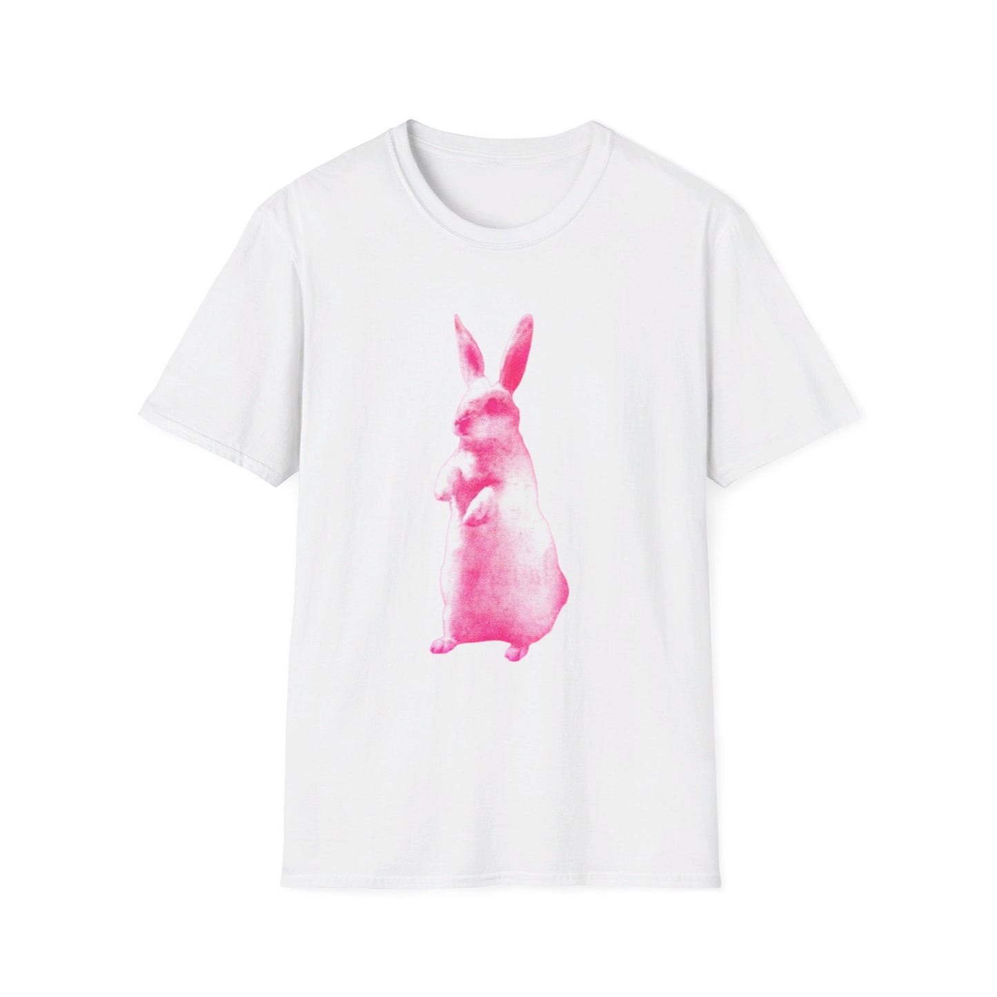 RABBIT