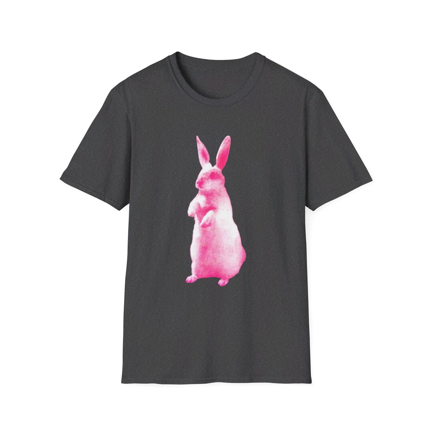 RABBIT