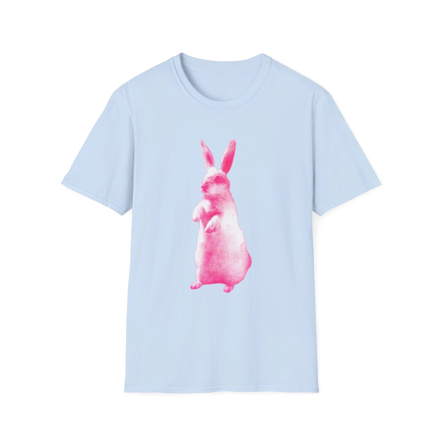RABBIT