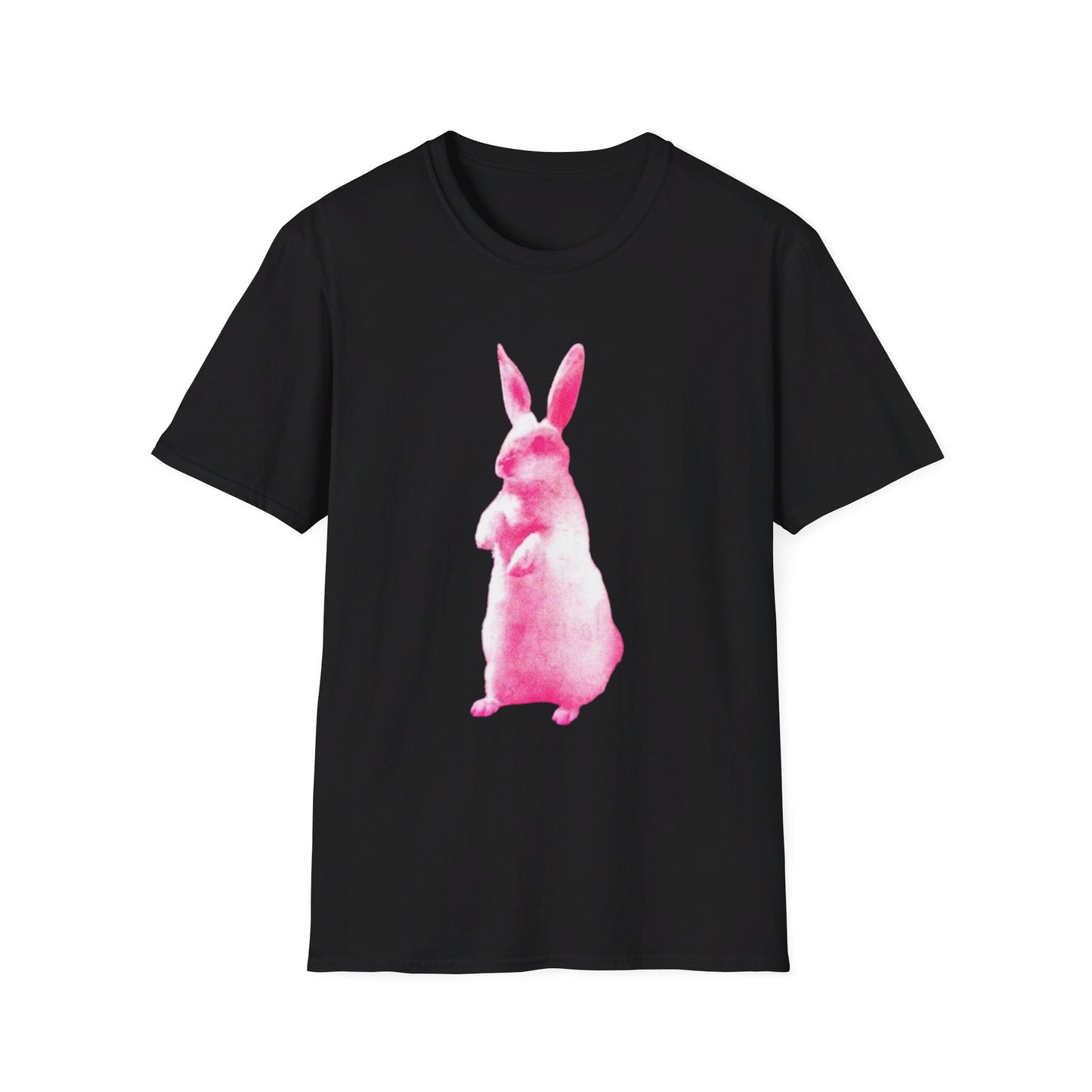 RABBIT