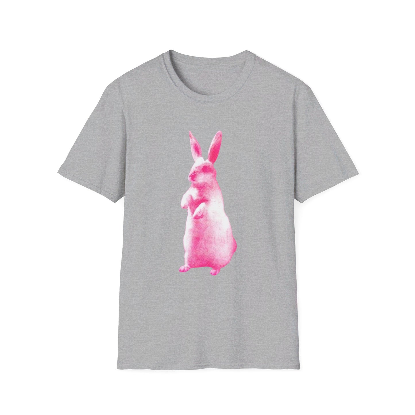 RABBIT