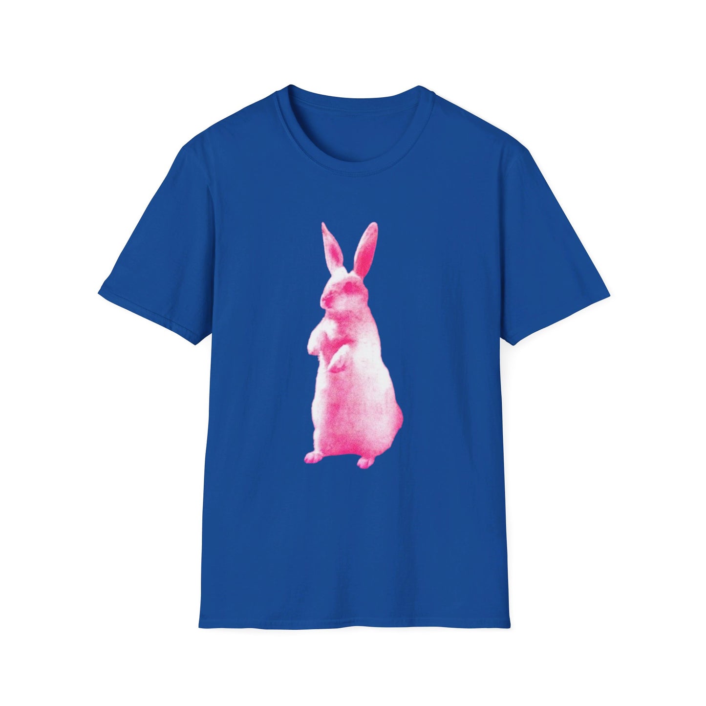 RABBIT