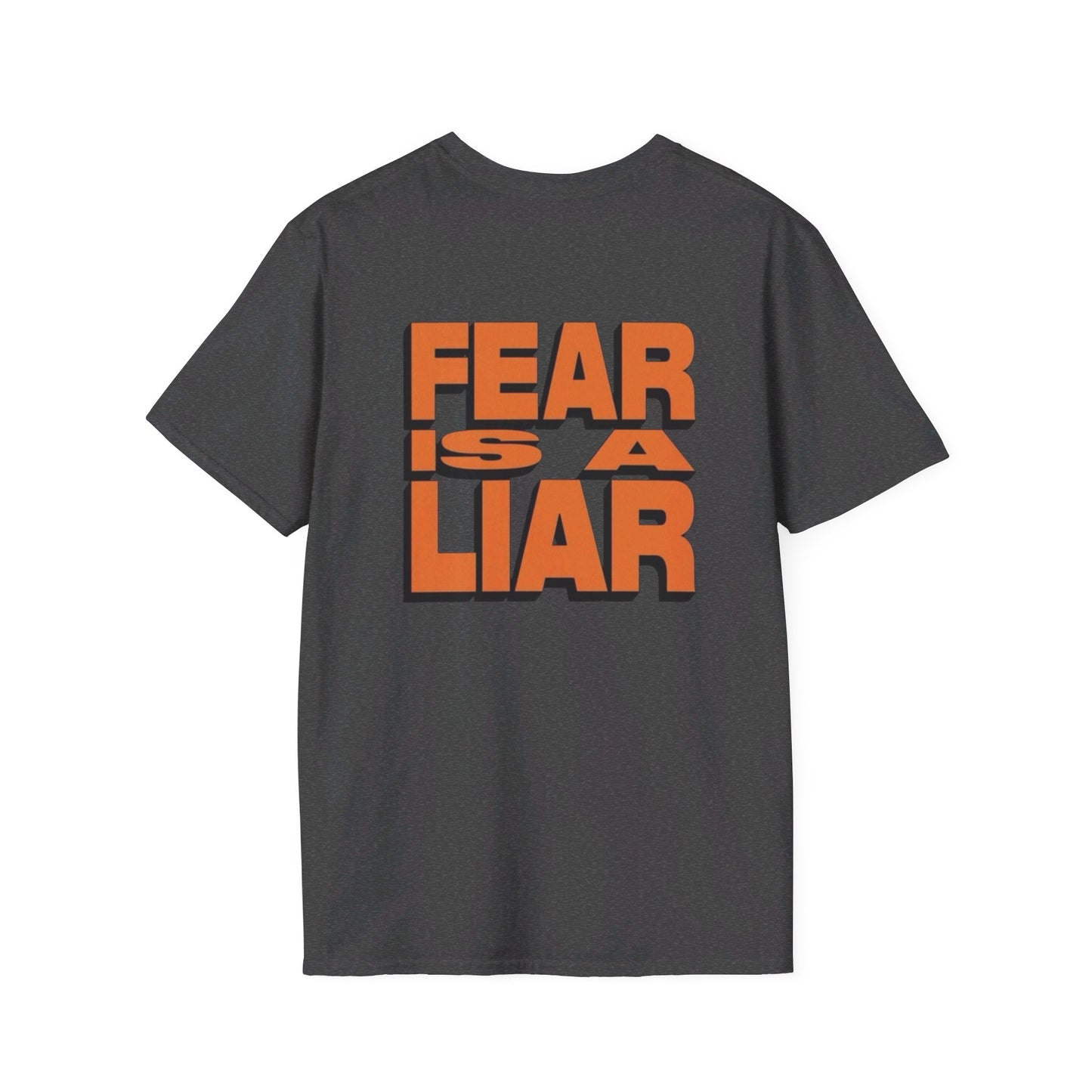 Fear is a Liar