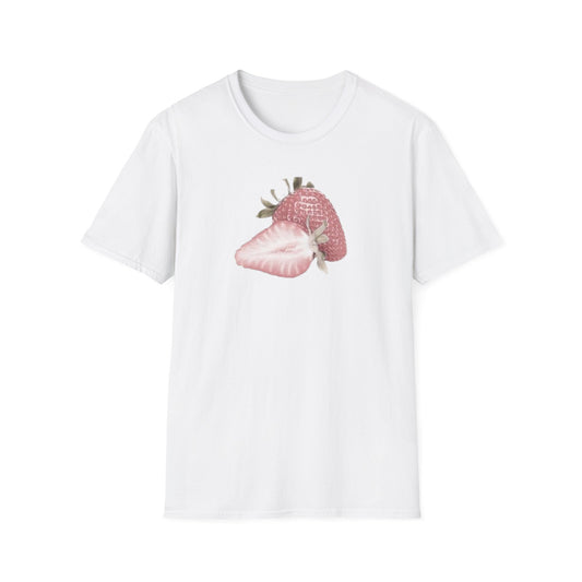 ROSA STRAWBERRY